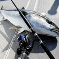 20 Original Shima Stella SW5000XG 6000HG 8000HG Fishing Spinning Reels X-ship Saltwater Fishing Reel