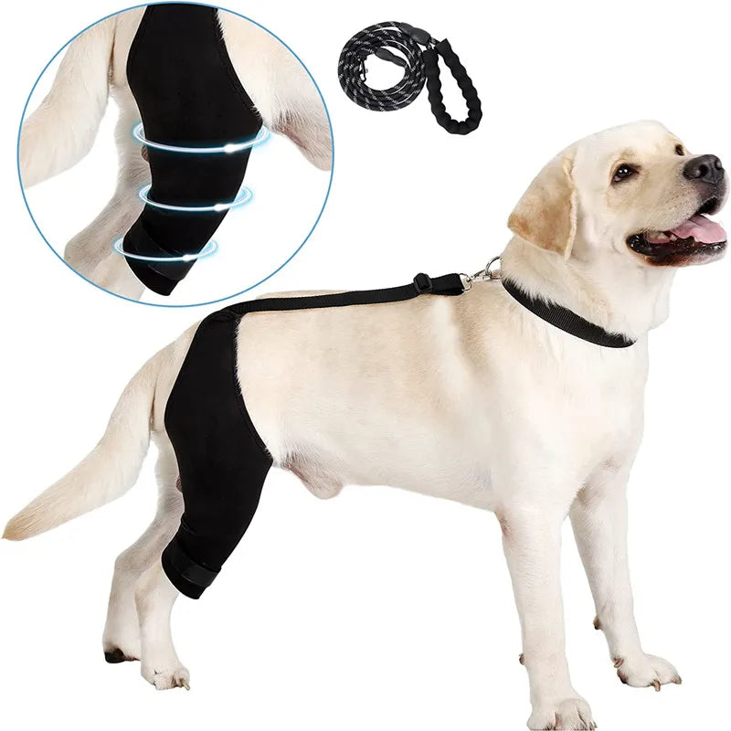 Dog Elbow Protector Rear Leg Hock Support Joint Wrap Protects Wounds Dog Knee Guard Black Eco-friendly Customized Logo Unisex