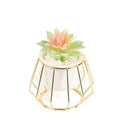 Simple Wrought Iron Frame with Gold-Plated Ceramic Vase and Flowerpot for Home and Garden