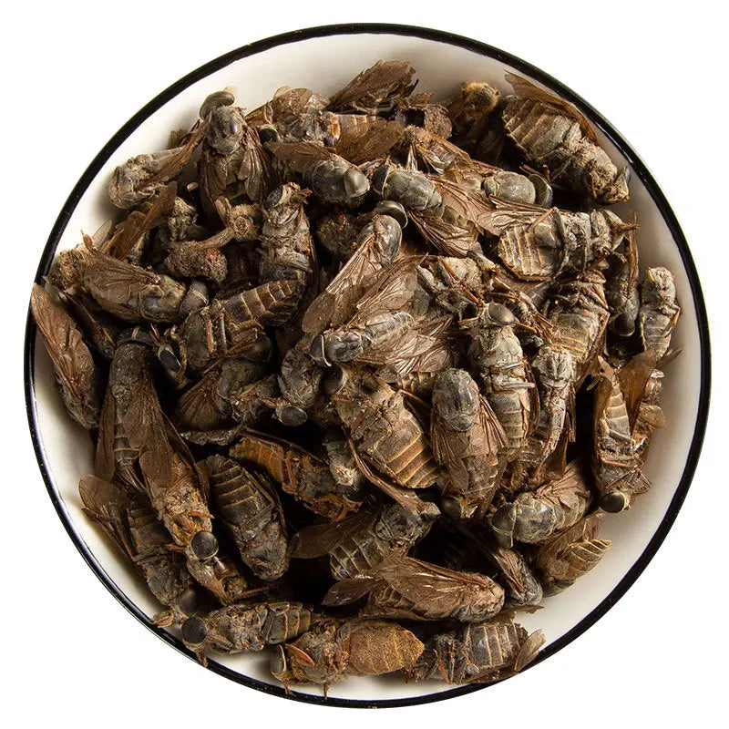 Natural Herb Dry Tabanus Mandarinus Whole Dried Gadfly Insects for Herb
