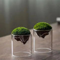 Eco-Friendly Transparent Mountain Shaped Glass Crystal Terrarium Vases Indoor Flower Pots for Plants