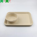 Custom Service Biodegradable Disposable Sugarcane Bagasse Food Serving Tray Eco Friendly Dish for Catering