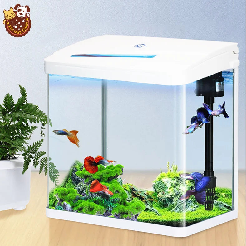 Wholesale T-4 T-8 Series Mini Fashionable Fish Home with Rounded Corners Small Fish tank Aquarium