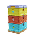Functional Plastic Lang Style Beehive New Condition for Bee Farm Use