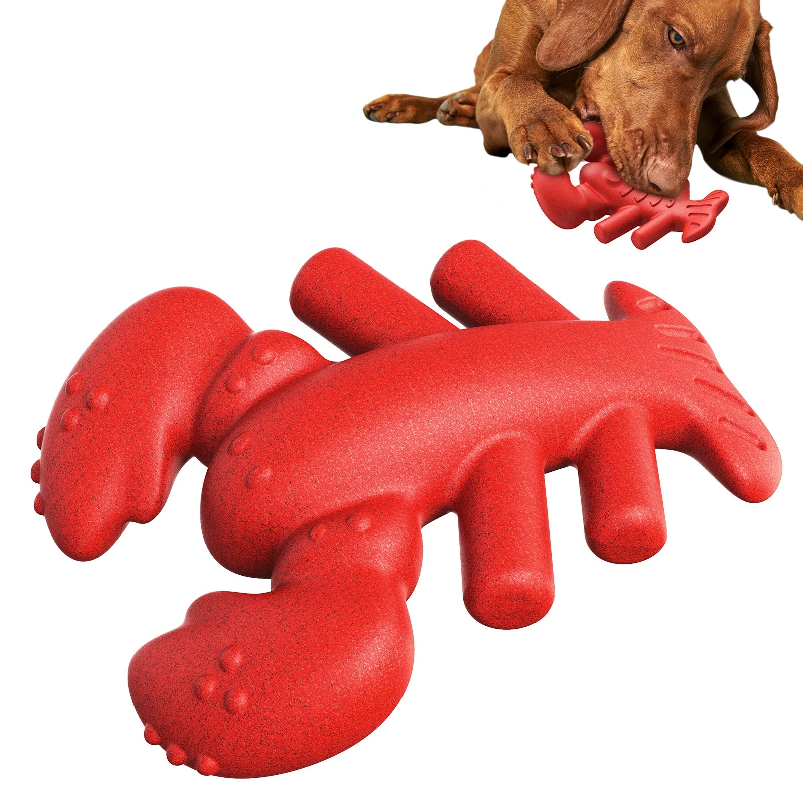Floppy Lobster Dog Toy Interactive Chew Toy with Eco-Friendly TPR and Wood Squeak Bouncy Cartoon Pet Toy in a Bag