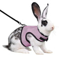 Small Pet Harness Leash Set Vest Harness for Dutch Pigs and Rabbits Breathable Mesh Rabbit Leash