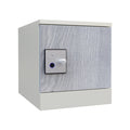 Multi Function New Design Smart Locker Assemble Home Storage Solution Network Cabinet Intelligent House IOT Building Parcel Box