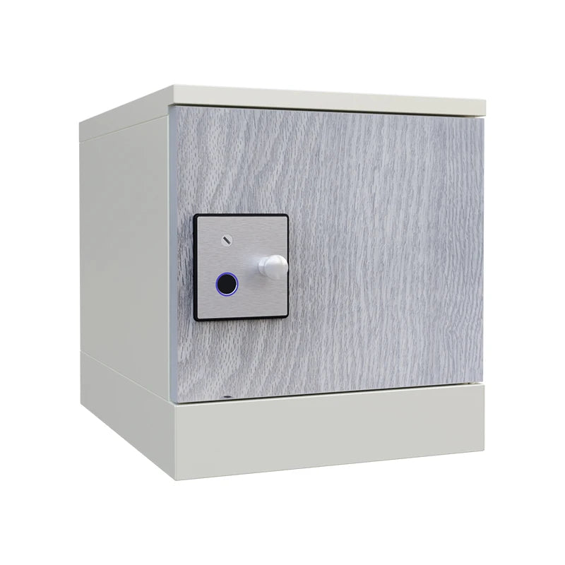Multi Function New Design Smart Locker Assemble Home Storage Solution Network Cabinet Intelligent House IOT Building Parcel Box