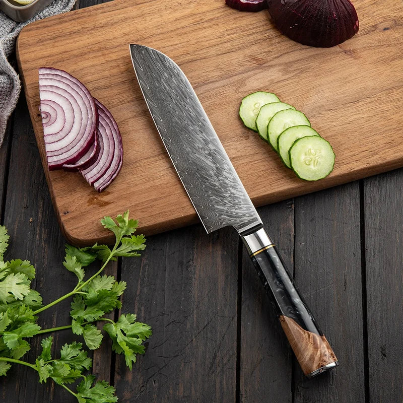 7 Inch Santoku Knife JDH Damascus Kitchen Knife 67 Layers Damascus Steel with Black Resin Wood Handle