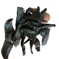 500g Natural Dry Leeches Chinese Dried Whole Black Leech for Herb