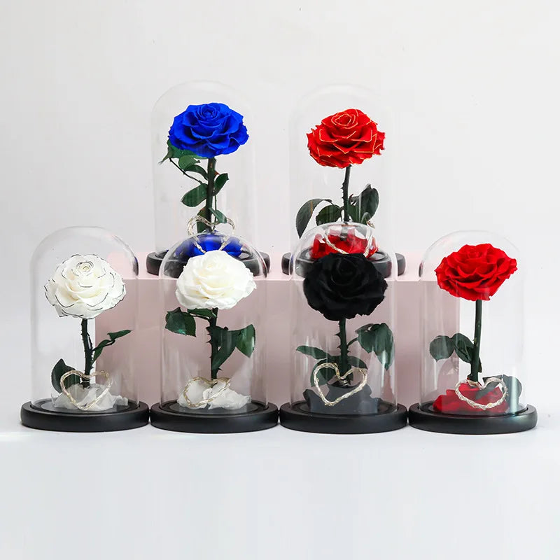 LED Forever Flower Valentines Day Gift Box Eternal Long Life Roses Preserved Roses in Glass Dome
