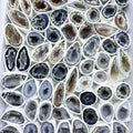 Wholesale Small Druzy Agate Geode Cornucopie Crystals Healing Stones Agate Crystal Geode Gift Box Decoration