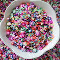 1kg DIY Craft Slime Sprinkles Rainbow Colorful Double Star Polymer Clay Sprinkles Slices