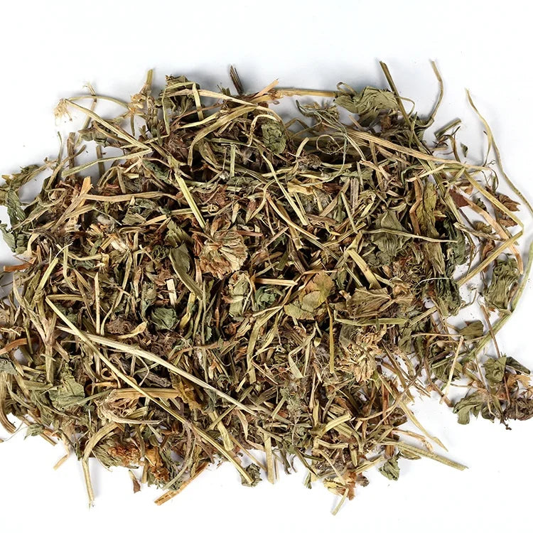 Bai Che Zhou Cao Natural Chinese Herb Dried White Clover Trifolium Repens L.