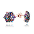 Trendy 925 Sterling Silver Earrings with Rose Gold-Black Plating Stud Style with Zircon and Stone for Parties