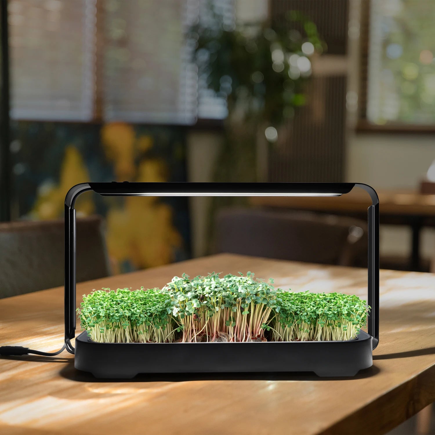 Mini Garden Full Spectrum Smart Growing Lamp Seed Grow Kit Vegetable Microgreen Seedling Plant Grow Garden with Timer