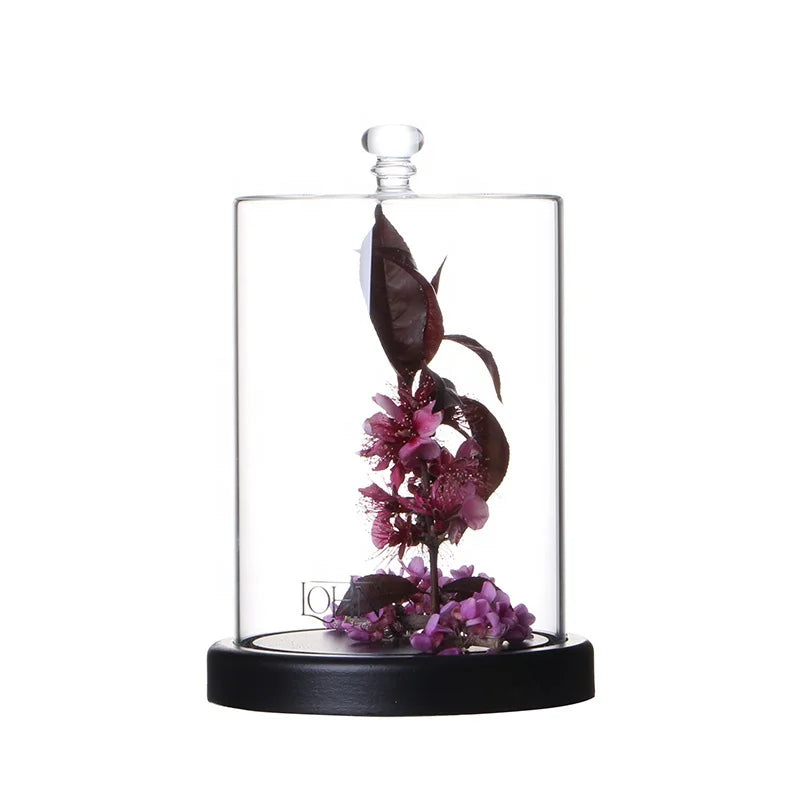 OEM Factory Wholesale Glass Cloche Bell Jar Custom Large Small Bell Glass Cloche Clear Glass Dome Wood Base