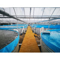 Lvju Aquaculture Fish Tanks RAS Aquaculture Systems Recirculating Aquaculture System Aqua Pond