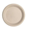 Earth's Natural Alternative Sugarcane Biodegradable Eco-Friendly Disposable Camping 10 Inch Unbreakable Waterproof Plates