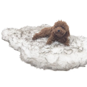 Yangyangpet Faux Fur Ordinary Foam Washable Dog Pet Rug Bed Mattress for Dog