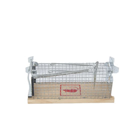 Eco-Friendly Mouse Trap Cage Home Kitchen Live Mouse Trap Humane Mice Trap Cage