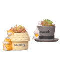 Hot Selling Creative Succulent Flower Pots Desktop Potted Plant Decorations Mini Landscape Home Decor Office Decoration