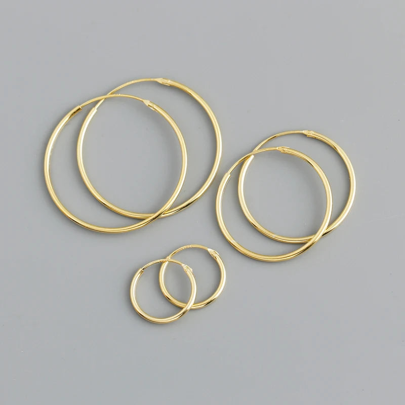 RINNTIN APE30 Fashion Jewelry 18K Gold Plating S925 Sterling Silver Circle Mini Hoop Earrings for Women