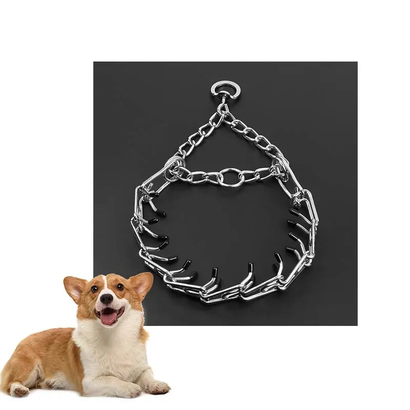 Manufacturer Multi-sizes Adjustable Safe Training Tool Prong Collar with Buckle for Small Medium Large Dogs
