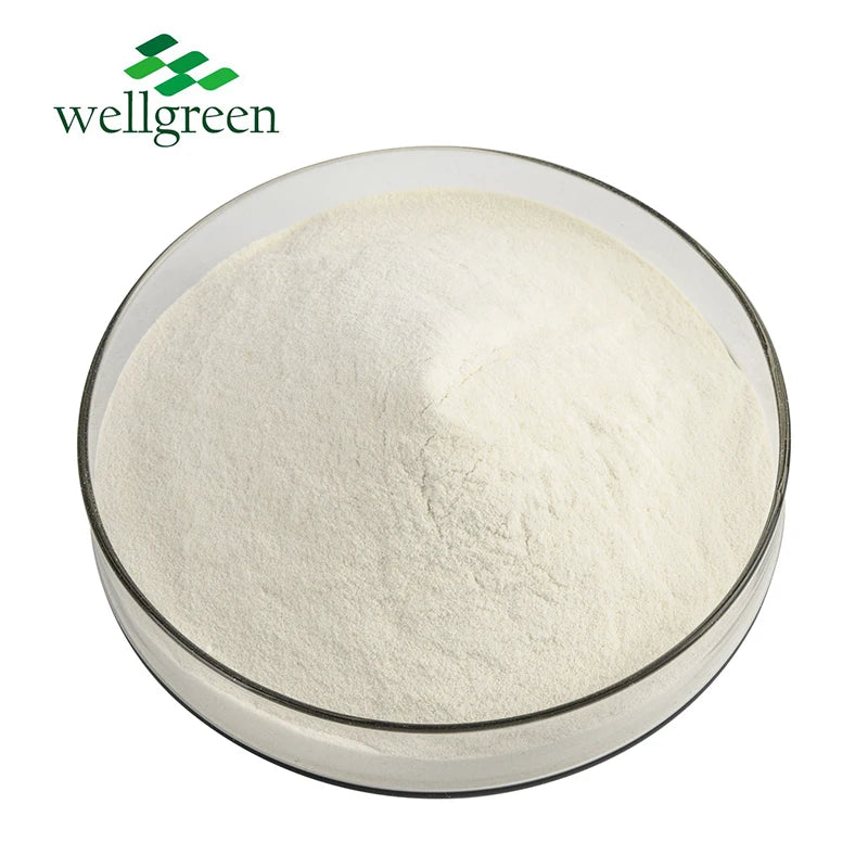 Natural Food Grade Yeast Beta Glucan Powder 70% 80% Beta-Glucan Yeast Extract