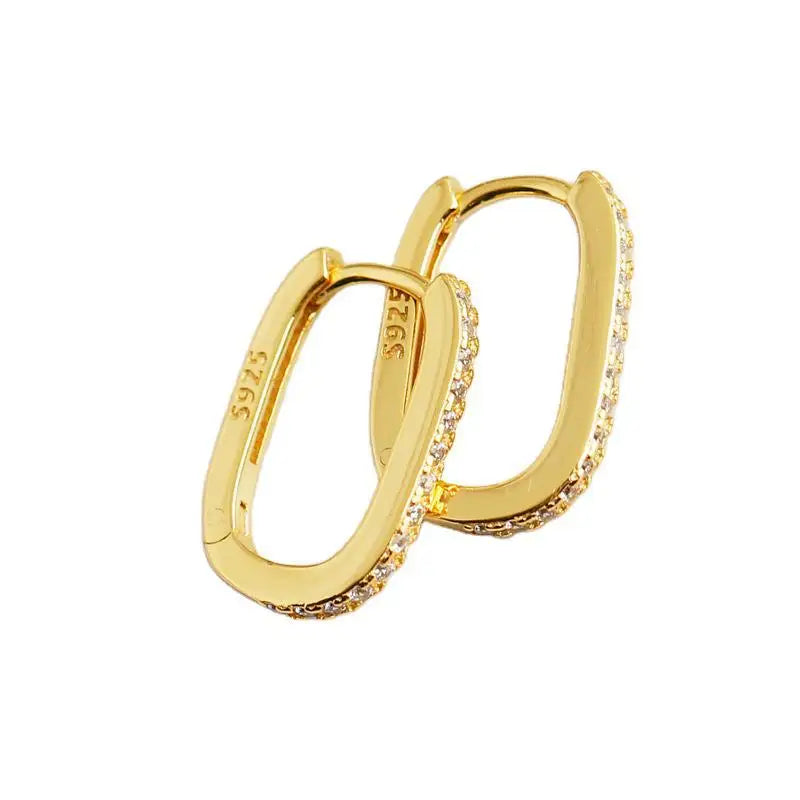 Fashion Earring Trendy 925 Sterling Silver Oval Round Designer Luxury Diamond Hoop Earrings for Women with 18k Gold Plated
