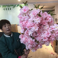 B-2246 Artificial Cherry Blossom Japan Silk Sakura Flower Pink Cherry Blossom for Wedding Decor