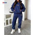 Wholesale Clothes Women Custom Two Piece Hoodie and Sweatpants Set Ladies Streetwear Comfy Cotton 2 Piece Sets for Fall Winter