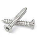 M3 X 10mm M4 M5 Torx Security Sheet Metal Screws 18-8 Tamper Resistant Self Tapping Screws Anti-Theft Tamper Proof Screw T15