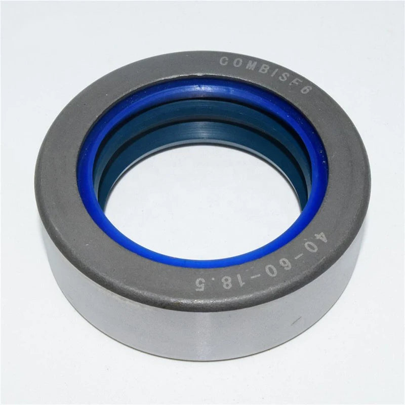 Custom NBR Rubber Lip Oil Seals FKM Combi Wheel Hub Skeleton Seal for Tractors