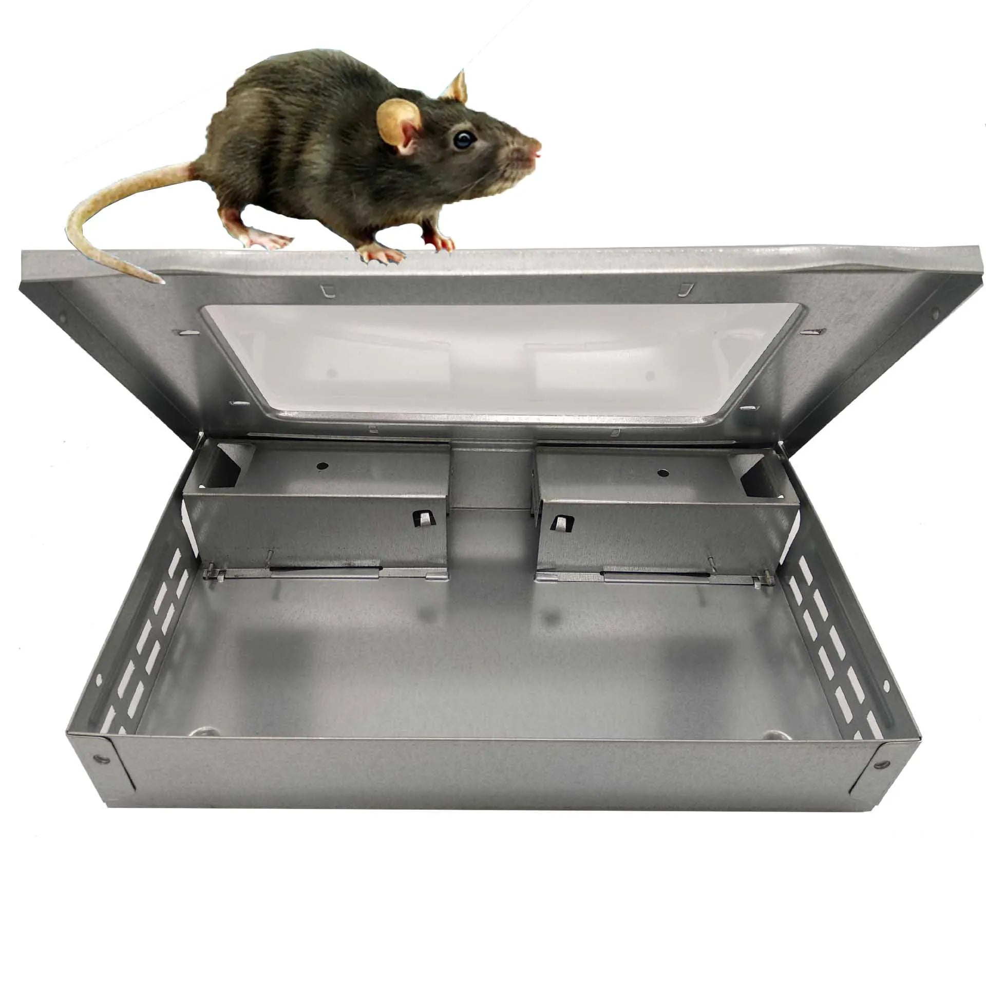 Solid Live Catch Rat and Mice Trap with Clear Window Humane Multi-Catch Mouse Box