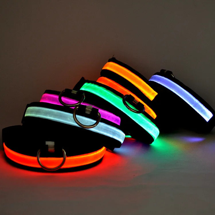Wholesale Usb Rechargeable Led Dog Pet Collar Flashing Light