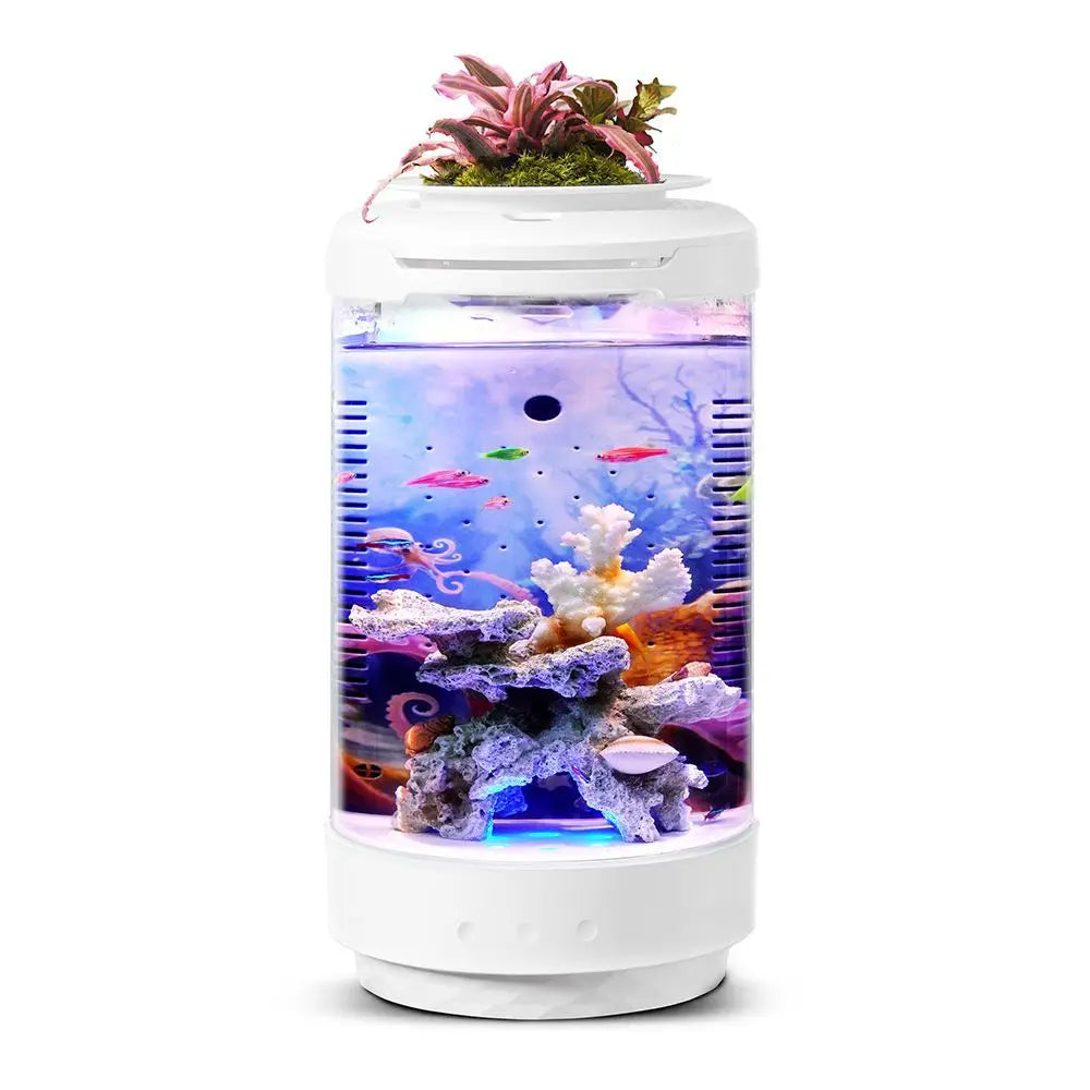 Durable Plastic Desktop Fish Tank Aquarium with LED Lighting and Power Filter Design Aquariums & Accessories