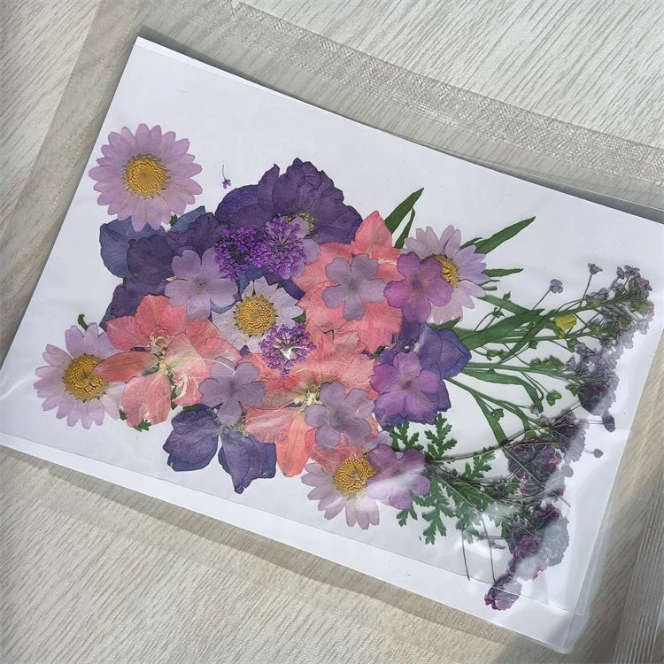 B-2243 Dried Pressed Flowers DIY Makeup Nail Phone case Frame Plant Flower Real Pressed Flowers
