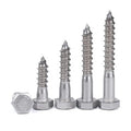 DIN 571 Stainless Steel 316 Hexagon Head Wood Screws DIN571 Hexagon Head Wood Screws