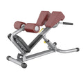 Commercial Gym Fitness Equipment Adjustable Roman Chair Bench Functional Bodybuilding Back Extension Roman Chair