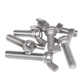 M6 DIN316 Stainless Steel Thumb Butterfly Wing Screws Plain Surface Wing Bolts Metric System