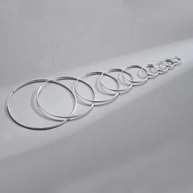 GP Hoop Earrings 925 Sterling Silver Round Fashion Jewelry Large Hoop Earrings Different Sizes for Women Ear Ring Wholesale