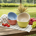 Unbreakable 30 Oz Mixing Bowl Set Eco-friendly Plastic Salad Bowl Microwave Safe Plastic Bowl for Homr and Outdoor Usage MegaBDM