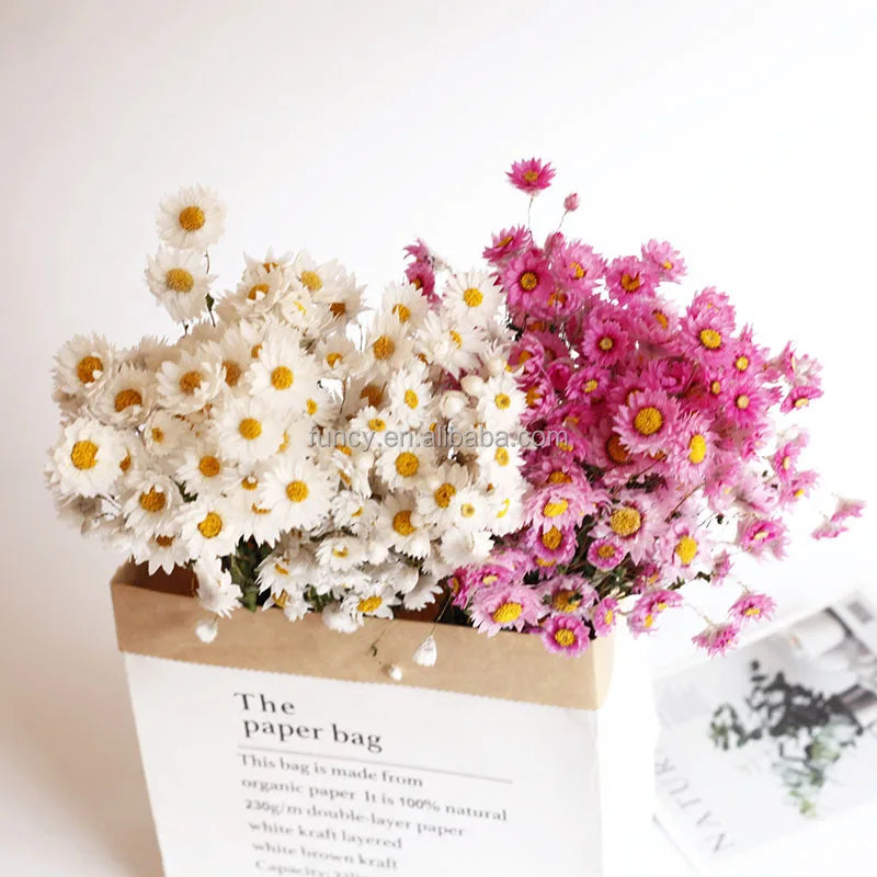 Factory Wholesale Good Quality Bulk Natural Plants Dry Rodanthe Daisies Dried Flowers Eco-Friendly Long Mother's Day Wedding MegaBDM