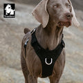 Truelove Wholesale Waterproof Reflective Breathable Pet Harness Fashion Outdoor Nylon No Pull Adjustable Lightweight Dog Harness