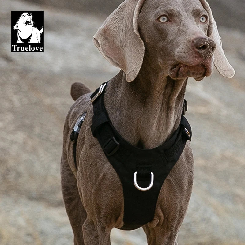 Truelove Wholesale Waterproof Reflective Breathable Pet Harness Fashion Outdoor Nylon No Pull Adjustable Lightweight Dog Harness