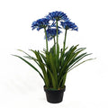Cheap Realistic High Simulation Daffodil Plant of Dance Orchid for Home & Garden Decoration Lovely Plastic Artificial Plant