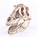 Wholesale Trex SKD05 Tyrannosaurus Rex Skull 3D Resin Calavera Ornaments Animal