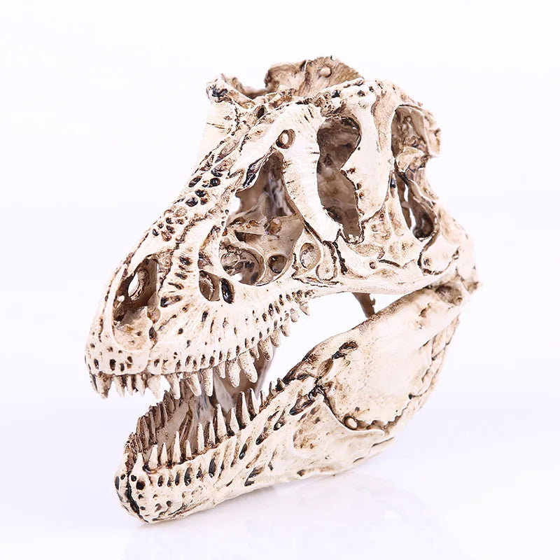 Wholesale Trex SKD05 Tyrannosaurus Rex Skull 3D Resin Calavera Ornaments Animal