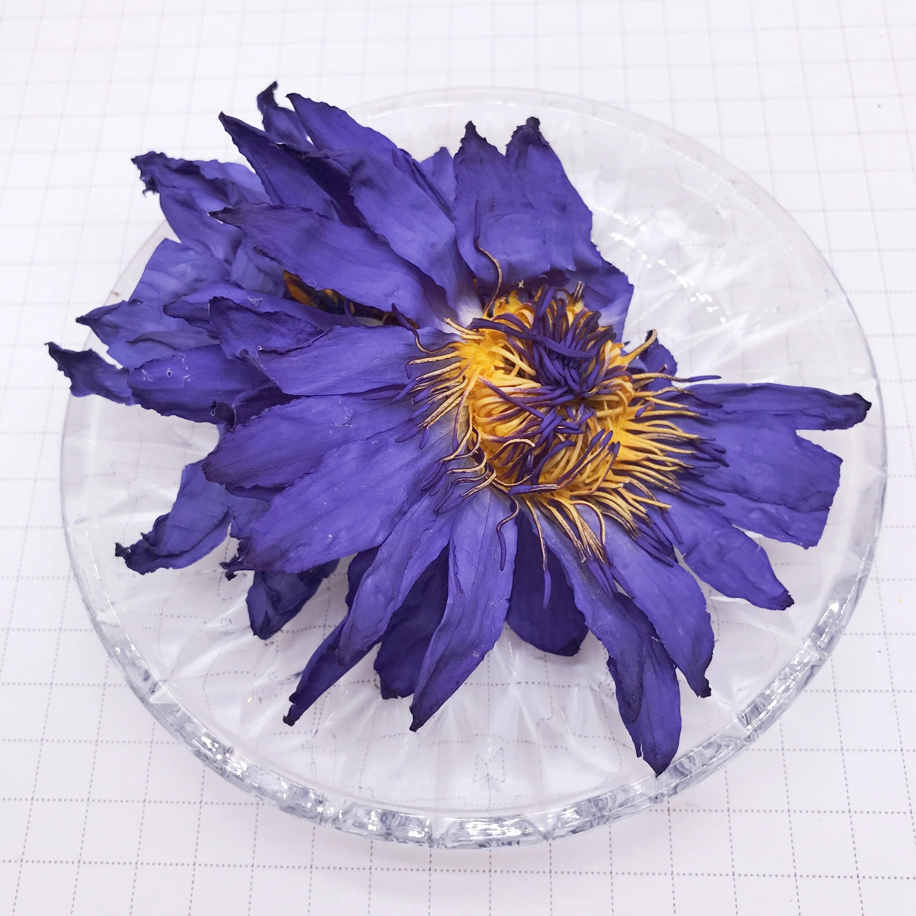 HO4009 Lan Lian Hua Wholesale Non-vacuum Natural Dried Blue Lotus Flower Tea Nymphaea Caerulea